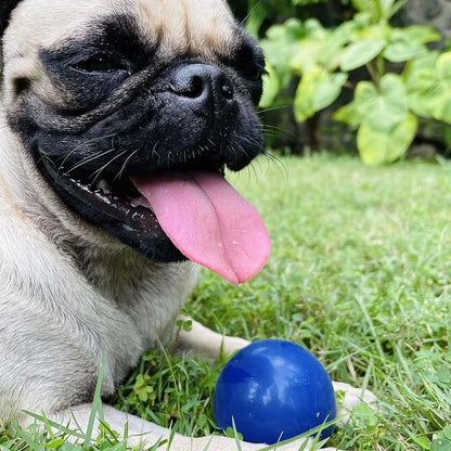 SuperChewy Tough Dog Ball Toy