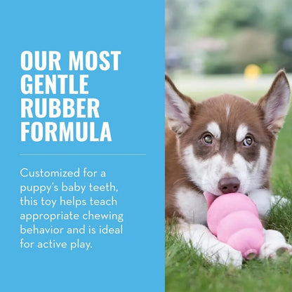 Natural Teething Rubber Chew Toy for Dogs