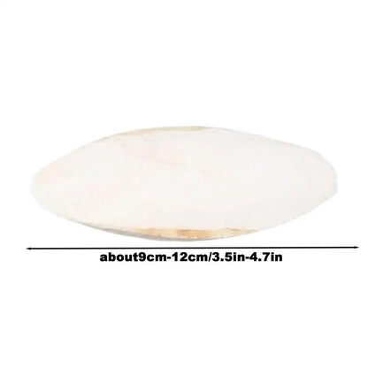 10Pcs Bird Cuttlebone for Parakeets