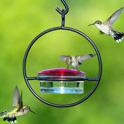 Hummingbird Feeder with Red Glass Bowl.