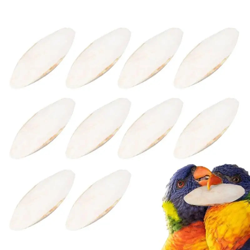 10Pcs Bird Cuttlebone for Parakeets