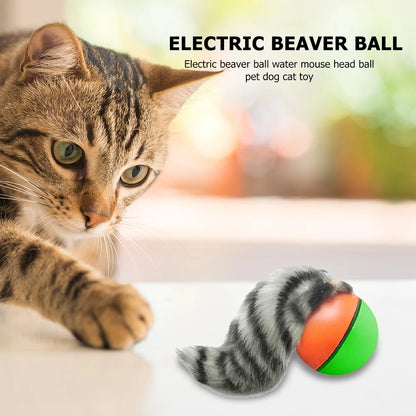 Electric Beaver Weasel Rolling Ball