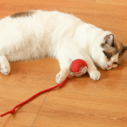 Electric Automatic Rolling Ball Cat Game