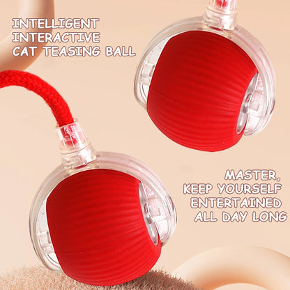 2PC/1PC Cat Rechargeable Automatic Rolling Ball Toys