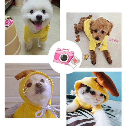 Dog Hoodies