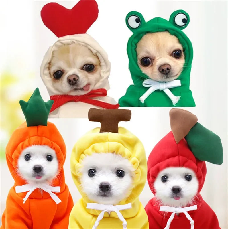 Dog Hoodies