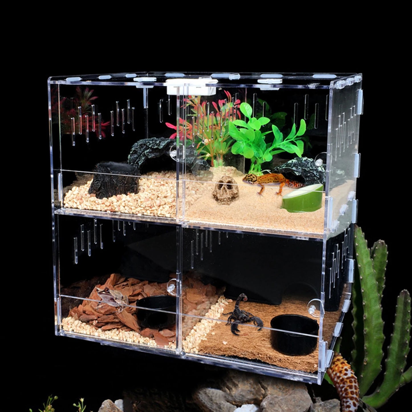 4 Grids Acrylic Pet Lizard Crawling Box