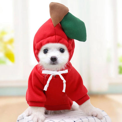 Winter Warm Cotton Dog Clothes Cute Frog Solid Hoodies