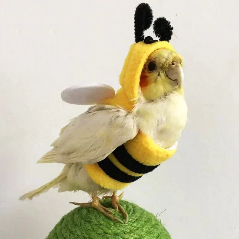 Funny Bee Shaped Birds Clothes