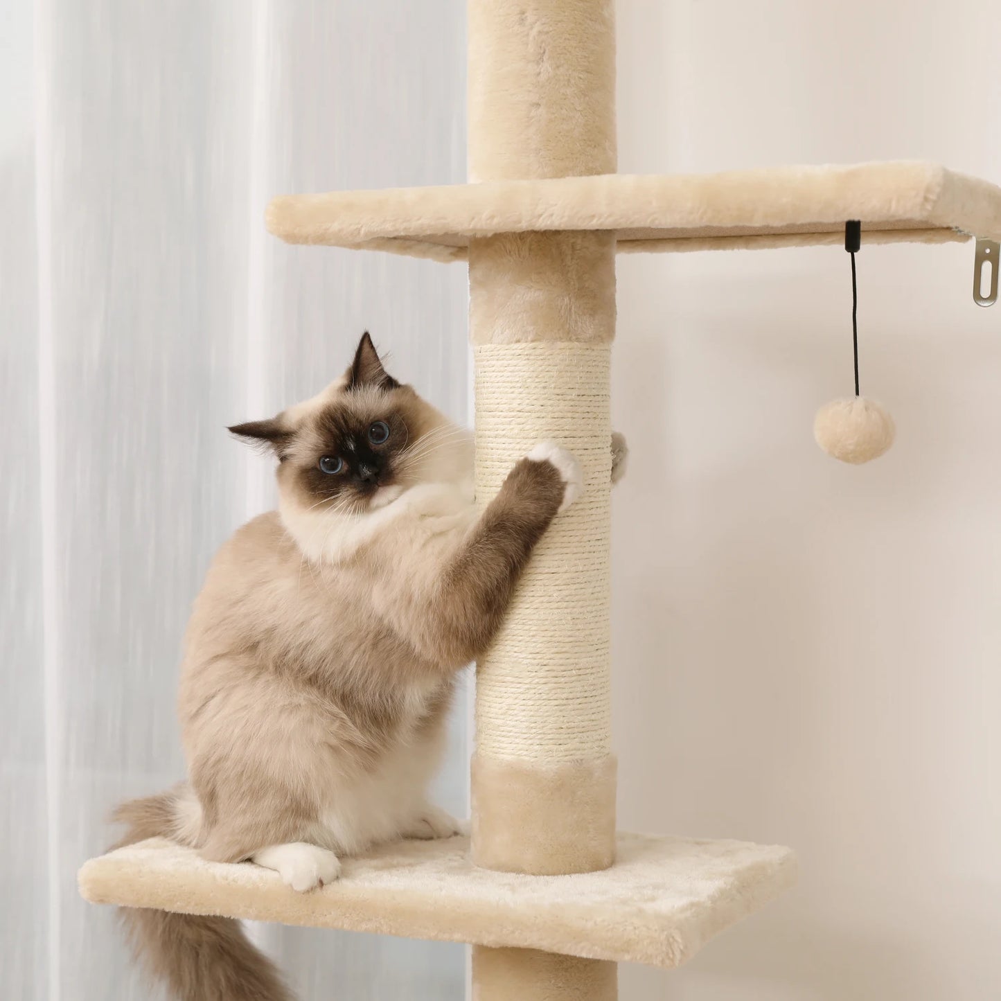 5-Tier  Cactus Cat Tower