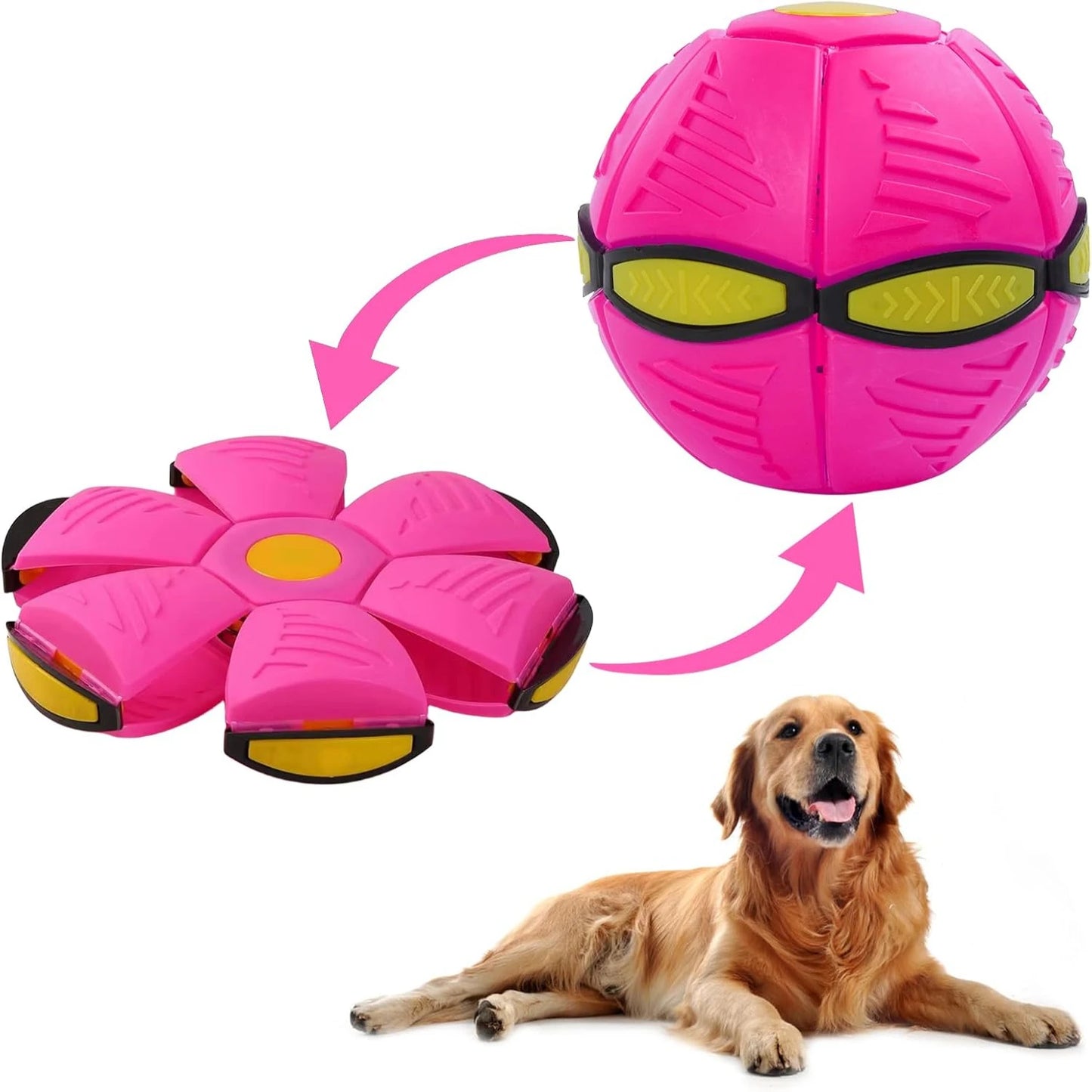 Magic Flying Saucer Ball for Dogs