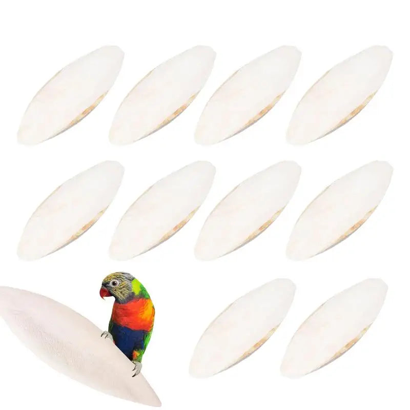 10Pcs Bird Cuttlebone for Parakeets