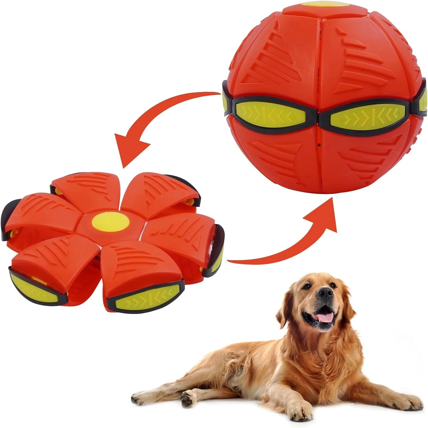 Magic Flying Saucer Ball for Dogs