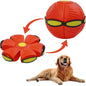 Magic Flying Saucer Ball for Dogs