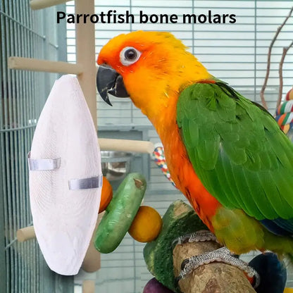 Bird Natural Cuddle Bone Parrot Chew Toys