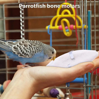 Bird Natural Cuddle Bone Parrot Chew Toys