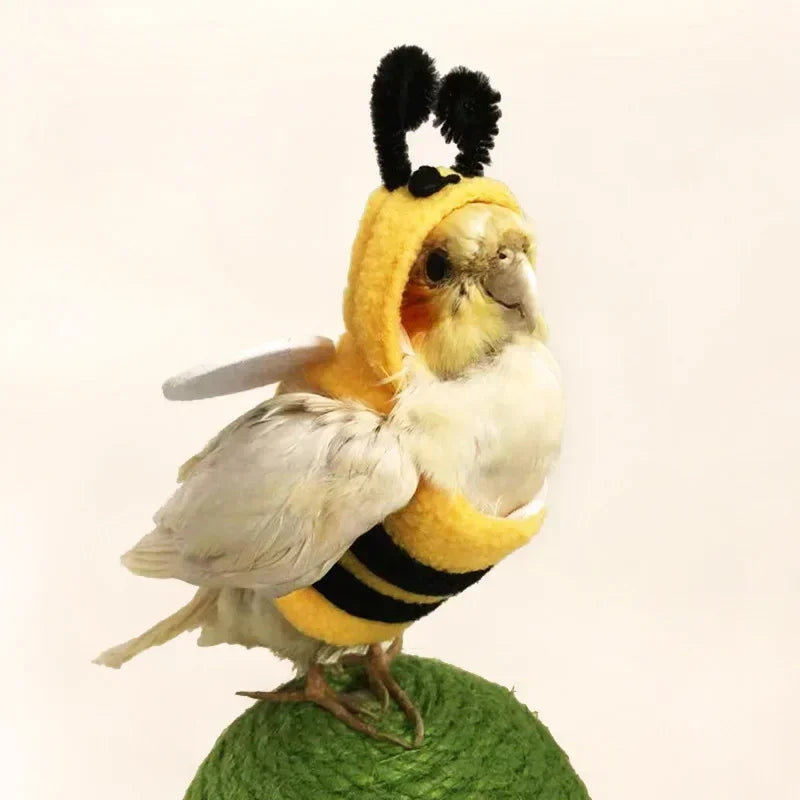 Funny Bee Shaped Birds Clothes