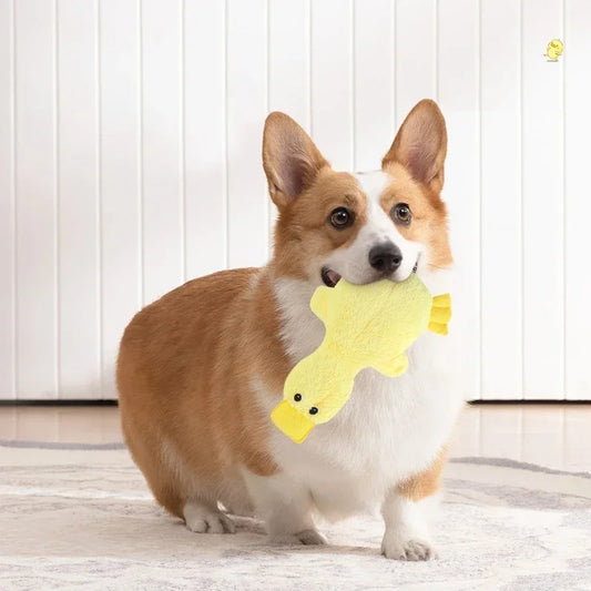 Cute Duck Plush Sound Toy