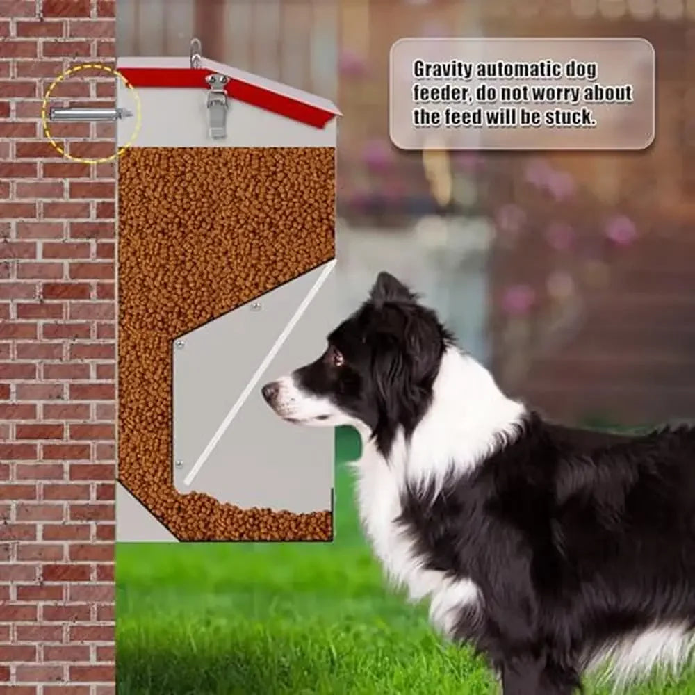 Large Breed Dog Food Gravity Feeder