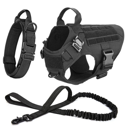 Large Dog Harness And Leash Set