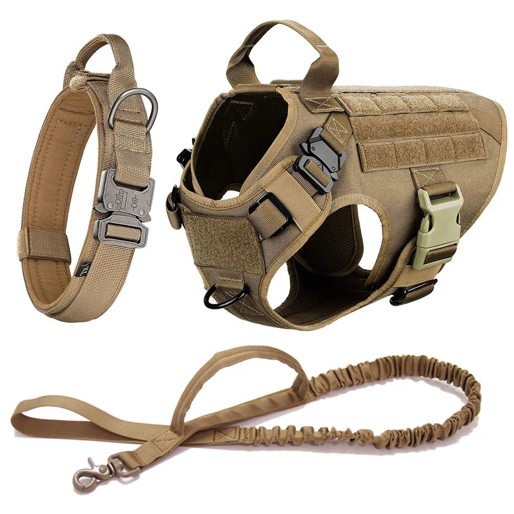 Large Dog Harness And Leash Set