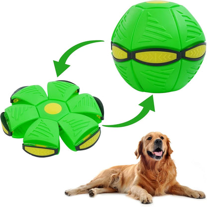 Magic Flying Saucer Ball for Dogs