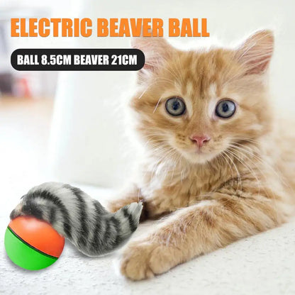 Electric Beaver Weasel Rolling Ball