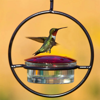 Hummingbird Feeder with Red Glass Bowl.