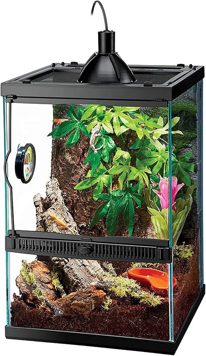 Tropical Habitat Starter Kit for Small Tree Dwelling Reptiles & Amphibians