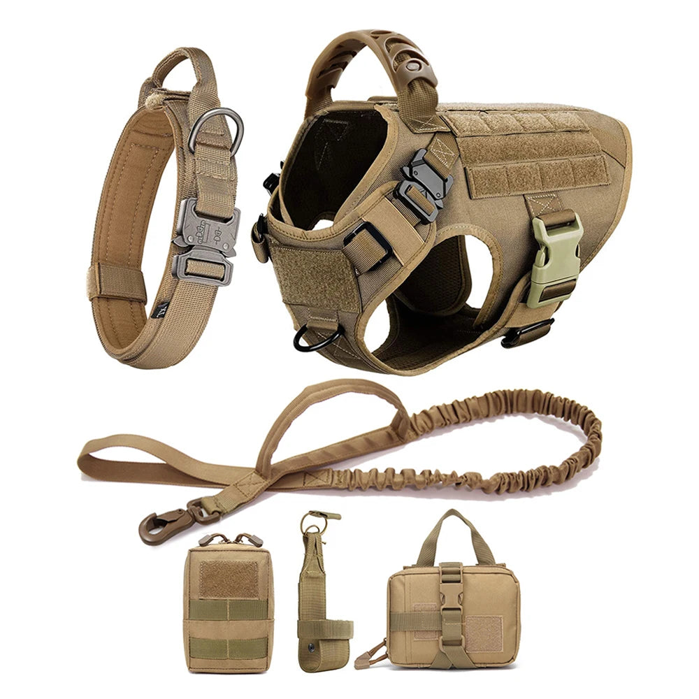 Large Dog Harness And Leash Set