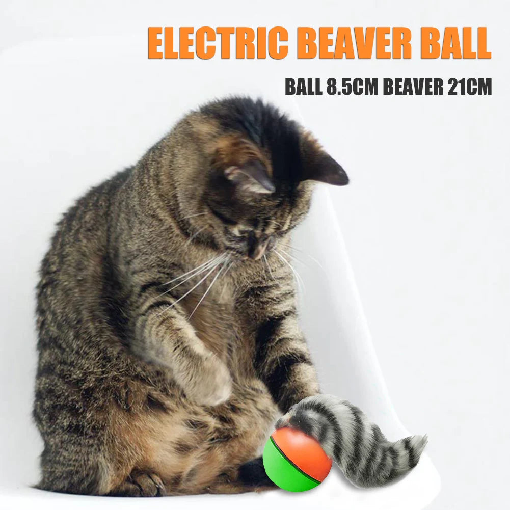 Electric Beaver Weasel Rolling Ball