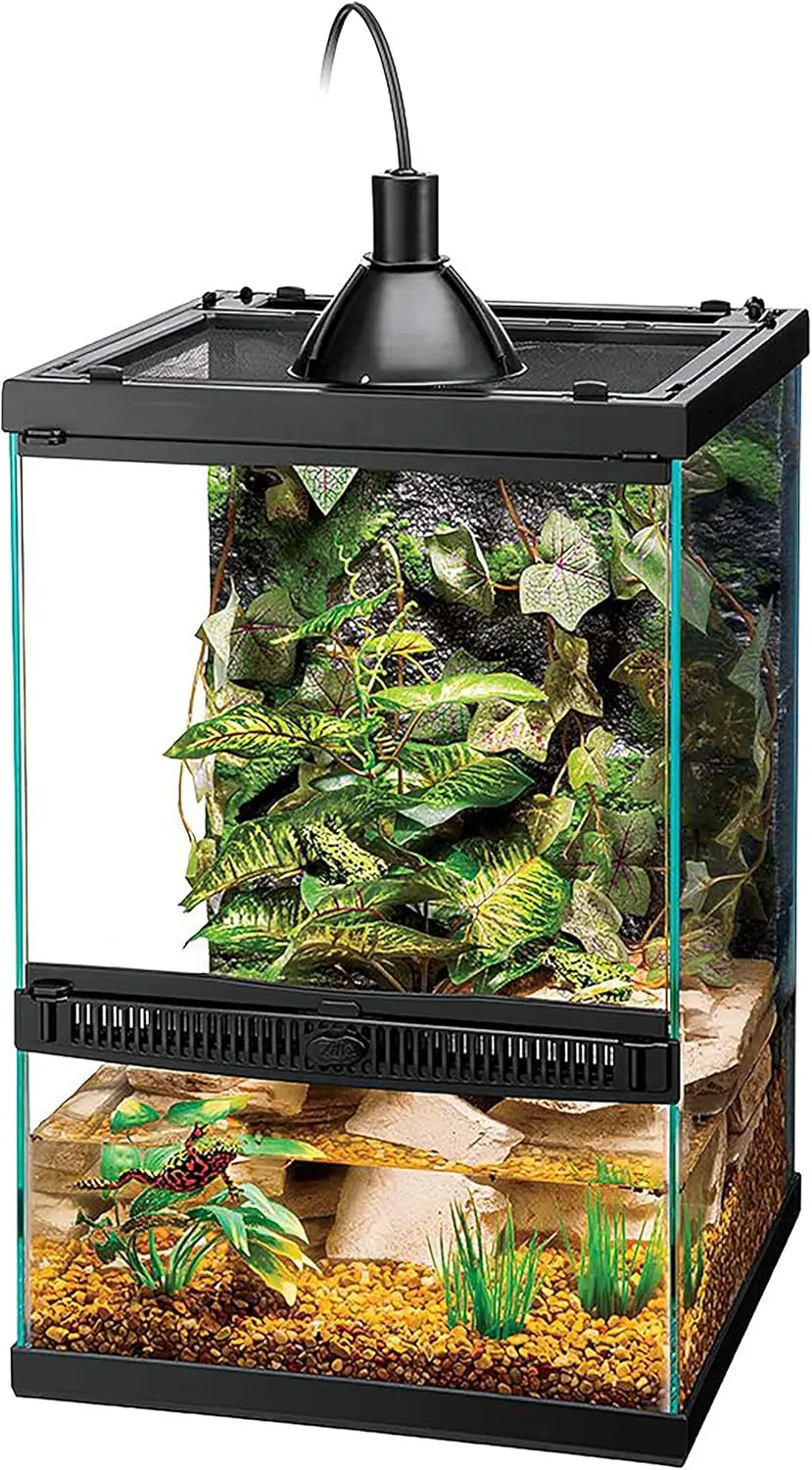 Tropical Habitat Starter Kit for Small Tree Dwelling Reptiles & Amphibians